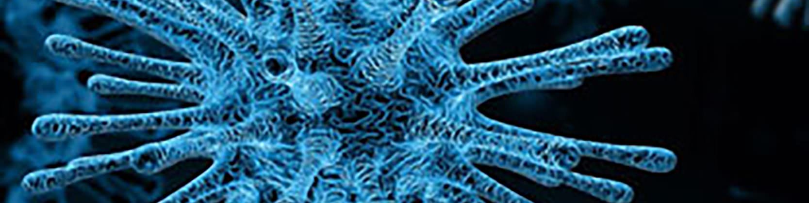 blue virus