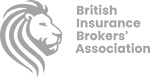 BIBA logo