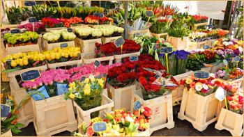 SMEs Reduce Insurance Expenses - Florist